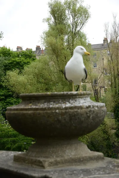 DSC_2541 (Large).JPG